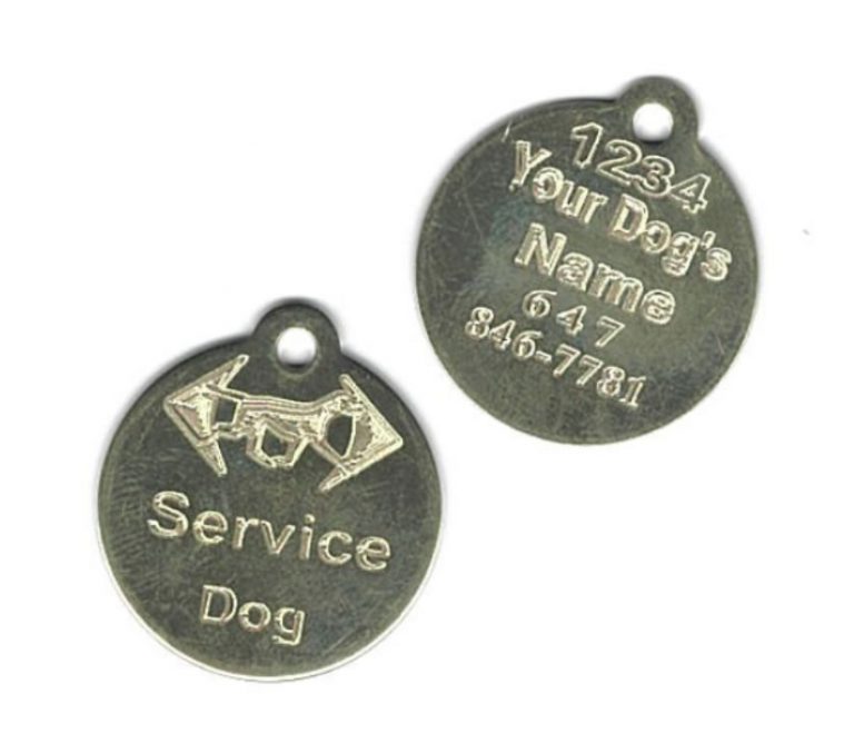 How to make my dog into a service dog dane101