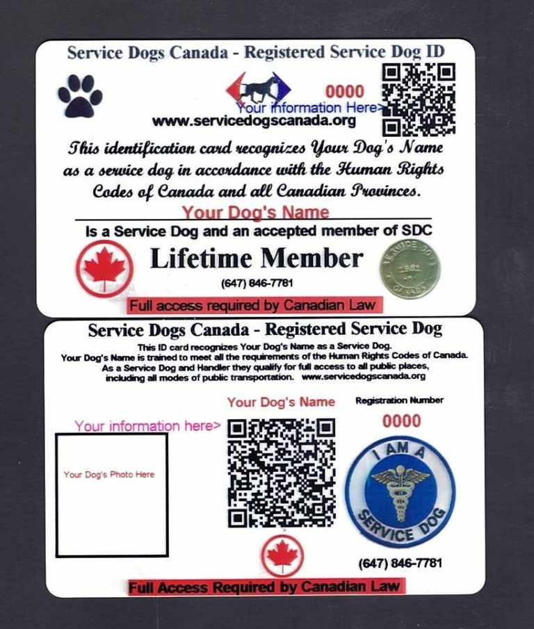 service-dog-id-package-service-dogs-canada